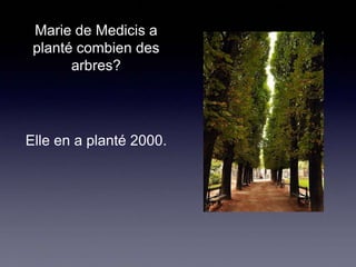 Marie de Medicis a
planté combien des
arbres?

Elle en a planté 2000.

 