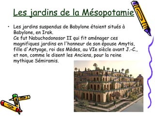 Les jardins de la Mésopotamie
• Les jardins suspendus de Babylone étaient situés à
Babylone, en Irak.
Ce fut Nabuchodonosor II qui fit aménager ces
magnifiques jardins en l'honneur de son épouse Amytis,
fille d'Astyage, roi des Mèdes, au VIe siècle avant J.-C.,
et non, comme le disent les Anciens, pour la reine
mythique Sémiramis.
 