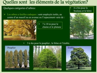 Quelques catégories d’arbres:
 Les arbres a feuilles caduques : sont employés isolés, au
centre d’un massif ou en avenue ou l’espacement varie de :
• 7 à 10 m pour le
chaine et le platane
• 6 à 8m pour le
bouleau et le hêtre
• 3 à 4m pour le peuplier , le frêne et l’érable.
Peuplier Frene Erable
Quelles sont les éléments de la végétation?
 