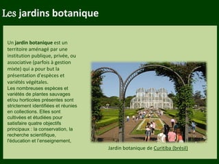 Les végétaux (arbres, arbustes …) a
fruits ou baies toxiques doivent être
plantés hors portée des enfants.
Les petits éléments ne doivent pas
être multipliés , car ils sont souvent
hors échelle.
Les jardins botanique
Un jardin botanique est un
territoire aménagé par une
institution publique, privée, ou
associative (parfois à gestion
mixte) qui a pour but la
présentation d'espèces et
variétés végétales.
Les nombreuses espèces et
variétés de plantes sauvages
et/ou horticoles présentes sont
strictement identifiées et réunies
en collections. Elles sont
cultivées et étudiées pour
satisfaire quatre objectifs
principaux : la conservation, la
recherche scientifique,
l'éducation et l’enseignement,
Jardin botanique de Curitiba (brésil)
 