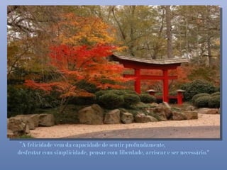 “A felicidade vem da capacidade de sentir profundamente,
desfrutar com simplicidade, pensar com liberdade, arriscar e ser necessário."
 