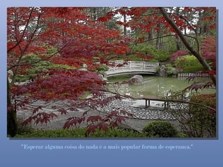 "Esperar alguma coisa do nada é a mais popular forma de esperança."
 