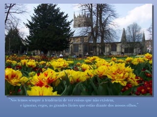 “Nós temos sempre a tendência de ver coisas que não existem,
       e ignorar, cegos, as grandes lições que estão diante dos nossos olhos.”
 
