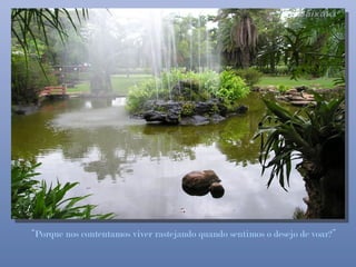“Porque nos contentamos viver rastejando quando sentimos o desejo de voar?”
 