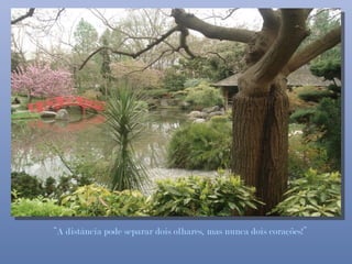 “A distância pode separar dois olhares, mas nunca dois corações!”
 