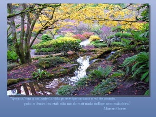 “Quem afasta a amizade da vida parece que arranca o sol do mundo,
        pois os deuses imortais não nos deram nada melhor nem mais doce.”
                                                           Marcus Cícero
 