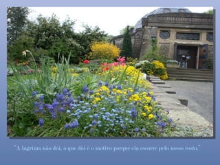 “A lágrima não dói, o que dói é o motivo porque ela escorre pelo nosso rosto.”
 