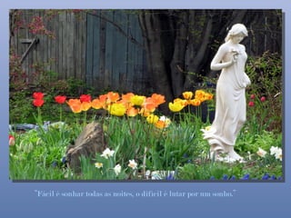 “Fácil é sonhar todas as noites, o difícil é lutar por um sonho.”
 