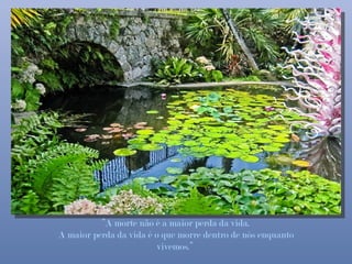 “A morte não é a maior perda da vida.
A maior perda da vida é o que morre dentro de nós enquanto
                         vivemos.”
 
