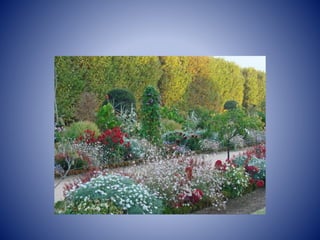 Jardins des plantes
