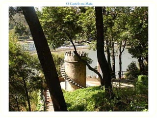 O Castelo na Mata
 