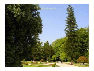 Jardim da Entrada
 