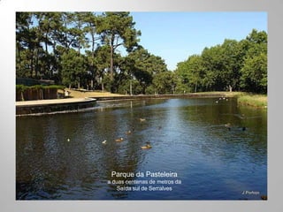 Parque da Pasteleira
a duas centenas de metros da
    Saída sul de Serralves
 