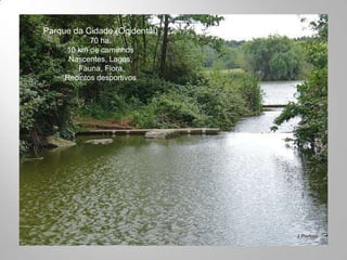 Parque da Cidade (Ocidental)
            70 ha.
     10 km de caminhos
      Nascentes, Lagos,
        Fauna, Flora,
     Recintos desportivos
 