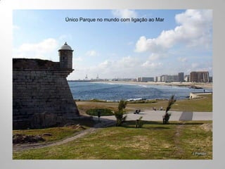 Único Parque no mundo com ligação ao Mar
 