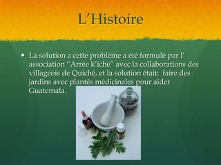L’HistoireLa solution a cette problème a été formulé par l’ association “Arrée k’iche” avec la collaborations des villageois de Quiché, et la solution était:  faire des jardins avec plantés médicinales pour aider Guatemala. 