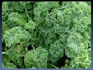 J’ai appris…………. 