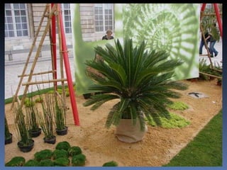 J’ai appris…………. … que tu peux toujours prier pour quelqu’un … 