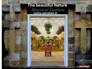 [email_address] The beautiful Nature Jardins splendides 03  