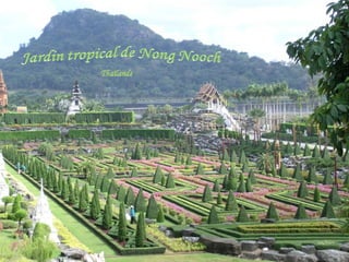 Jardin tropical de nong  nooch en thaïlande