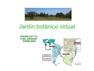 Jardín botánico virtual ESCUELA Nº 113  C DEL URUGUAY  ENTRE RÍOS 