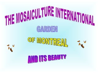 THE MOSAICULTURE INTERNATIONAL OF MONTREAL AND ITS BEAUTY GARDEN 
