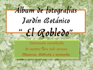 Álbum de fotografías
  Jardín Botánico
 “ El Robledo”
 