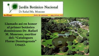 Llamado así en honor
al primer botánico
dominicano Dr. Rafael
M. Moscoso, escritor
del: “Catalogues
Florae Domingensis”
(1943).
 