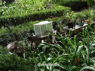 SemillerosSemilleros