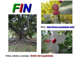 FFIINN
Fotos, edición y montajeFotos, edición y montaje : Emilio Gil (unjubilado)Emilio Gil (unjubilado)
Blog : http://www.unjubilado.info/http://www.unjubilado.info/