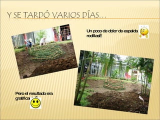 Un poco de dolor de espalda y rodillas… Pero el resultado era gratificante…