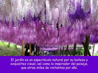 El jardín es un espectáculo natural por su belleza y
exquisitez visual, así como lo inspirador del paisaje,
que atrae miles de visitantes por año.