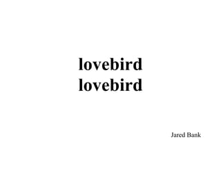 lovebird
lovebird

           Jared Bank
 