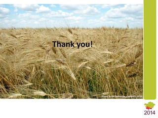 Market Integration and Price Transmission in Tajikistan’s Wheat Markets: Rising like rockets but falling like feathers?