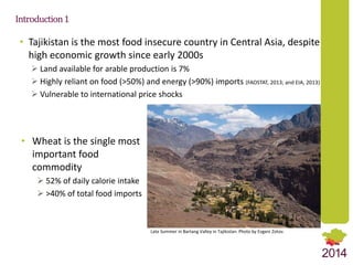 Market Integration and Price Transmission in Tajikistan’s Wheat Markets: Rising like rockets but falling like feathers?