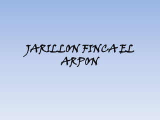 JARILLON FINCA EL ARPON 