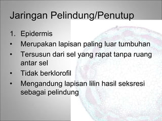 Jaringan Pelindung/Penutup
1. Epidermis
• Merupakan lapisan paling luar tumbuhan
• Tersusun dari sel yang rapat tanpa ruang
antar sel
• Tidak berklorofil
• Mengandung lapisan lilin hasil seksresi
sebagai pelindung
 