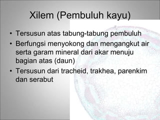 Xilem (Pembuluh kayu)
• Tersusun atas tabung-tabung pembuluh
• Berfungsi menyokong dan mengangkut air
serta garam mineral dari akar menuju
bagian atas (daun)
• Tersusun dari tracheid, trakhea, parenkim
dan serabut
 