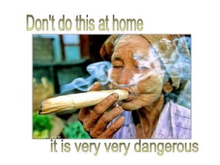 jaringan-tumbuhan1.ppt