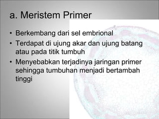 a. Meristem Primer
• Berkembang dari sel embrional
• Terdapat di ujung akar dan ujung batang
atau pada titik tumbuh
• Menyebabkan terjadinya jaringan primer
sehingga tumbuhan menjadi bertambah
tinggi
 