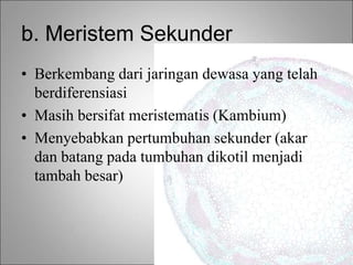b. Meristem Sekunder
• Berkembang dari jaringan dewasa yang telah
berdiferensiasi
• Masih bersifat meristematis (Kambium)
• Menyebabkan pertumbuhan sekunder (akar
dan batang pada tumbuhan dikotil menjadi
tambah besar)
 
