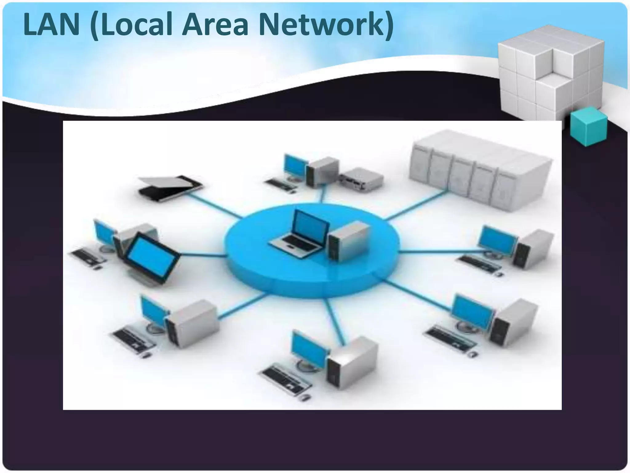 LAN (Local Area Network)
 