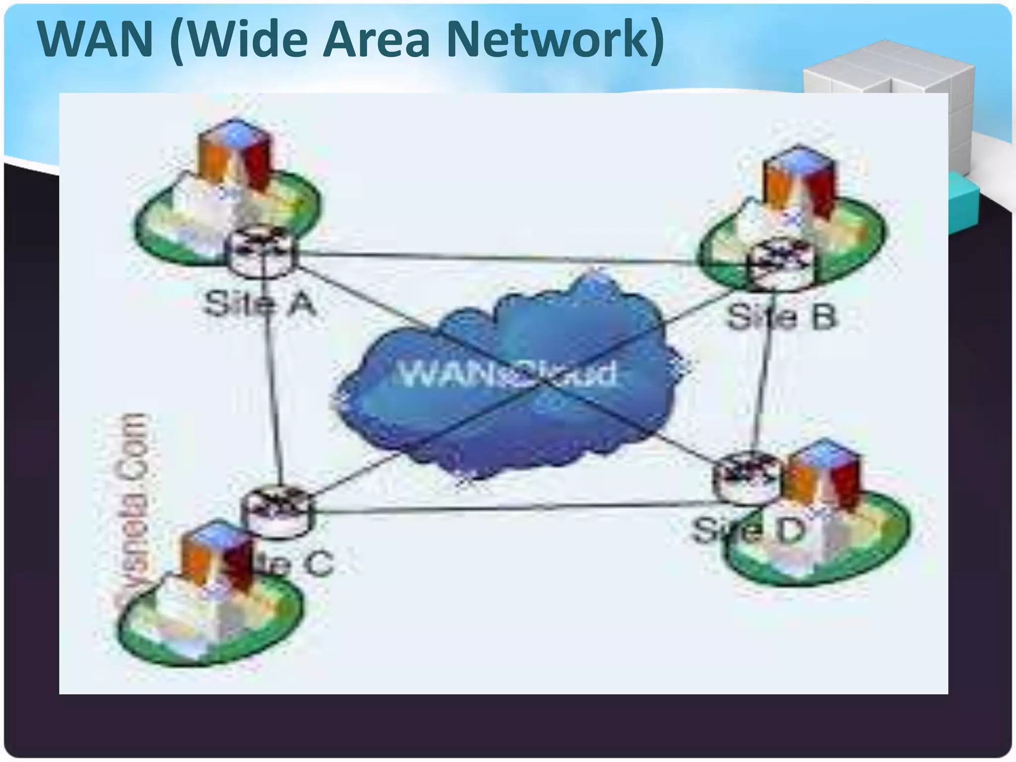 WAN (Wide Area Network)
 