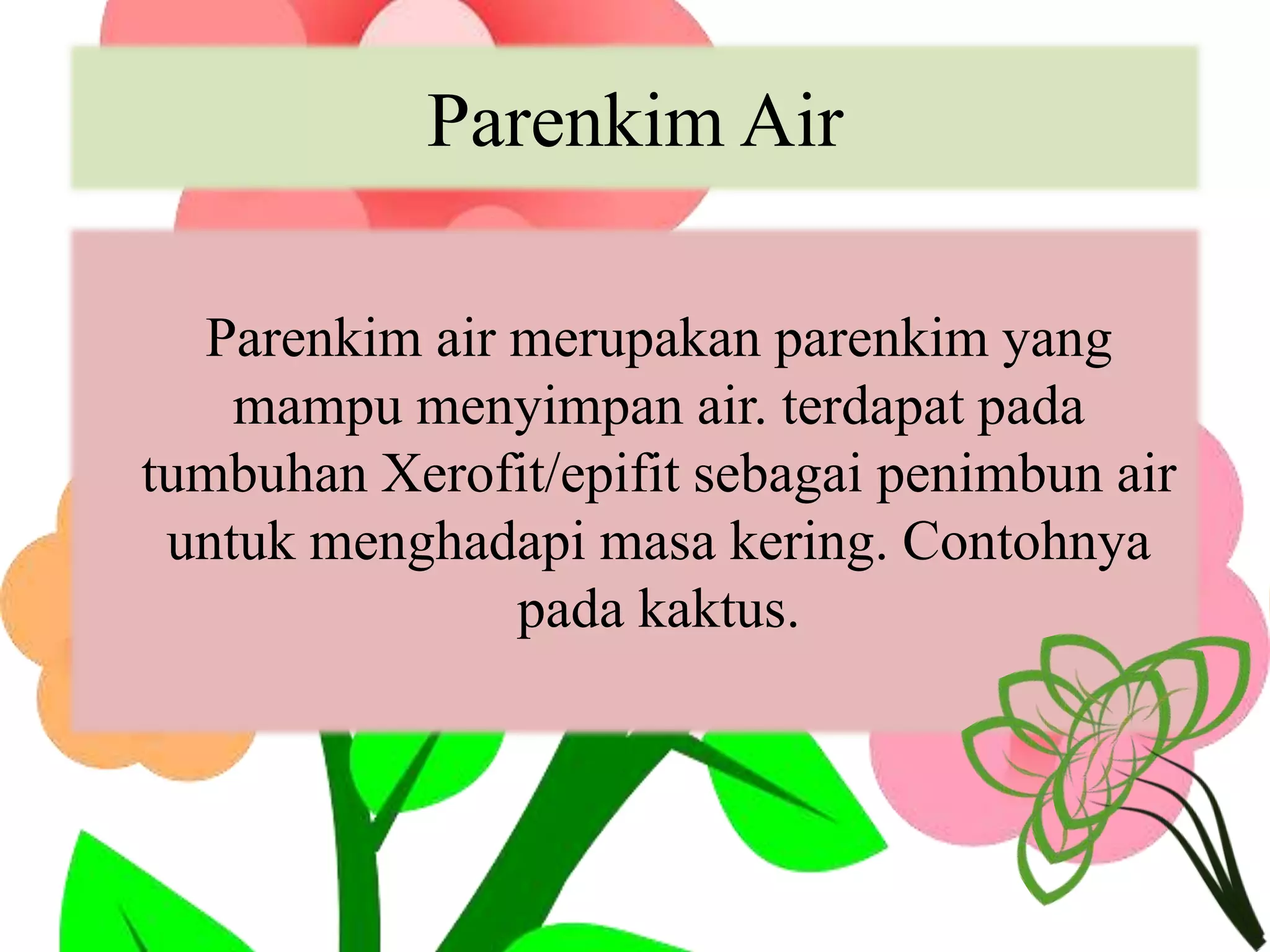 Parenkim Air
Parenkim air merupakan parenkim yang
mampu menyimpan air. terdapat pada
tumbuhan Xerofit/epifit sebagai penimbun air
untuk menghadapi masa kering. Contohnya
pada kaktus.
 
