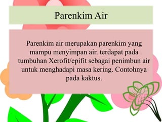 Parenkim Air
Parenkim air merupakan parenkim yang
mampu menyimpan air. terdapat pada
tumbuhan Xerofit/epifit sebagai penimbun air
untuk menghadapi masa kering. Contohnya
pada kaktus.
 