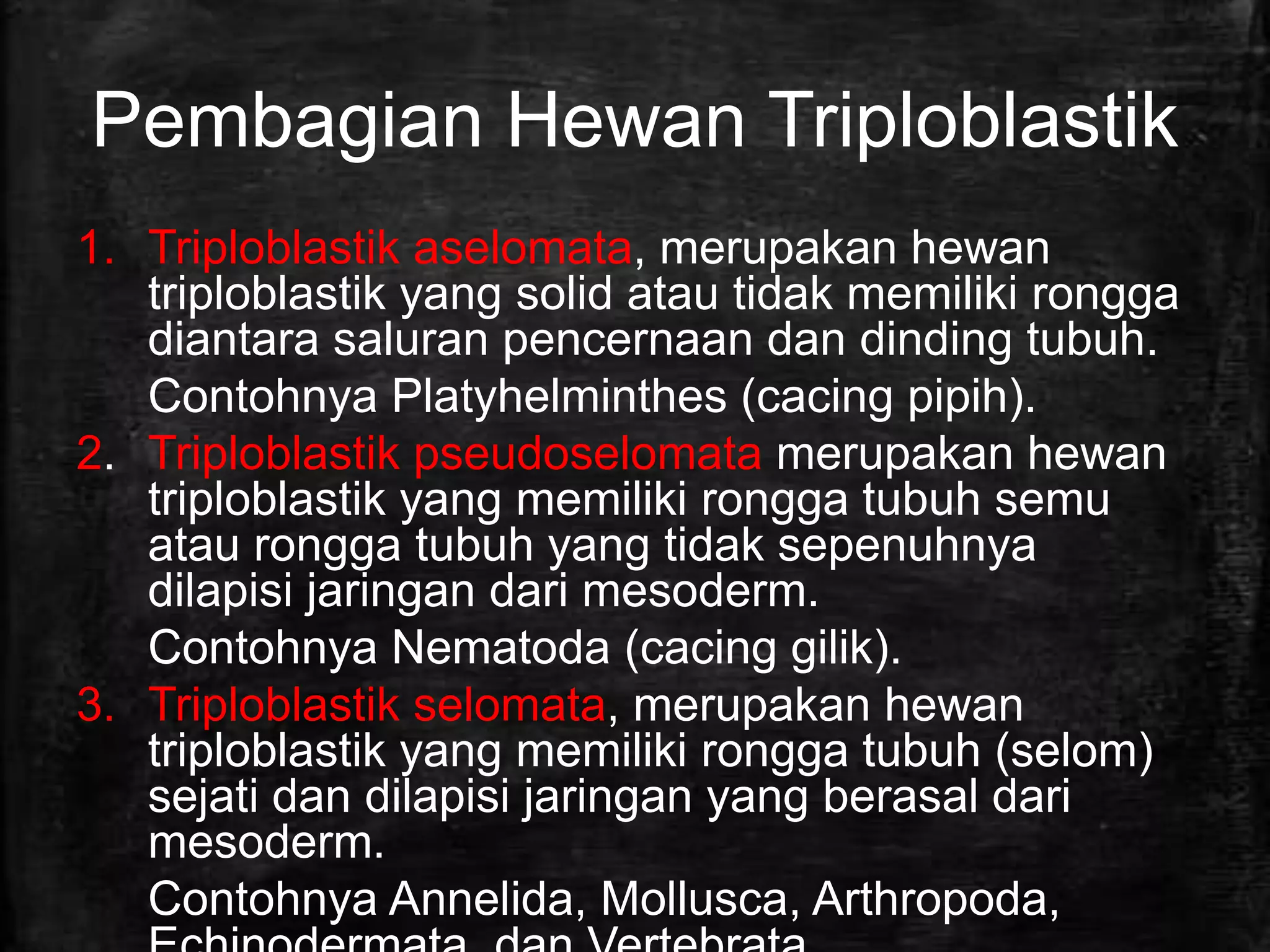 Hewan yang merupakan hewan triploblastik pseudoselomata adalah