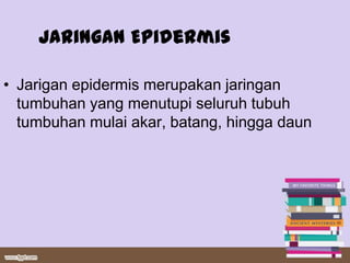 Jaringan Epidermis

• Jarigan epidermis merupakan jaringan
  tumbuhan yang menutupi seluruh tubuh
  tumbuhan mulai akar, batang, hingga daun
 