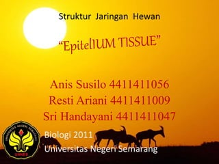 Anis Susilo 4411411056
Resti Ariani 4411411009
Sri Handayani 4411411047
Biologi 2011
Universitas Negeri Semarang
Struktur Jaringan Hewan
 
