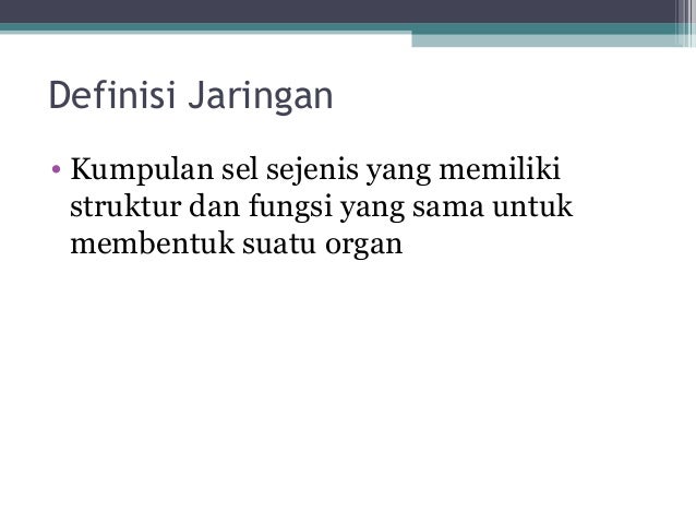 Jaringan Hewan 15216891