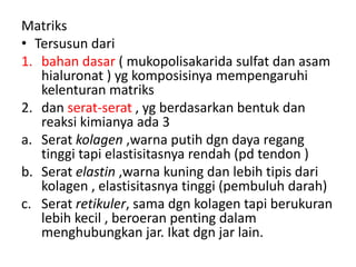Matriks 
• Tersusun dari 
1. bahan dasar ( mukopolisakarida sulfat dan asam 
hialuronat ) yg komposisinya mempengaruhi 
kelenturan matriks 
2. dan serat-serat , yg berdasarkan bentuk dan 
reaksi kimianya ada 3 
a. Serat kolagen ,warna putih dgn daya regang 
tinggi tapi elastisitasnya rendah (pd tendon ) 
b. Serat elastin ,warna kuning dan lebih tipis dari 
kolagen , elastisitasnya tinggi (pembuluh darah) 
c. Serat retikuler, sama dgn kolagen tapi berukuran 
lebih kecil , beroeran penting dalam 
menghubungkan jar. Ikat dgn jar lain. 
 